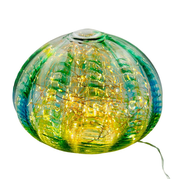 Seaform Light - Re-Invigorated