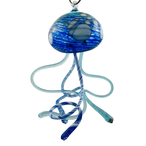 Hanging Jellyfish - Snorkeling Swimmer