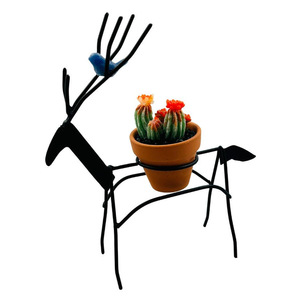 Wire Reindeer w/ Glass Succulent & Glass Bird