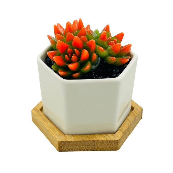 White Ceramic Glass Succulent Hex Pot - 04