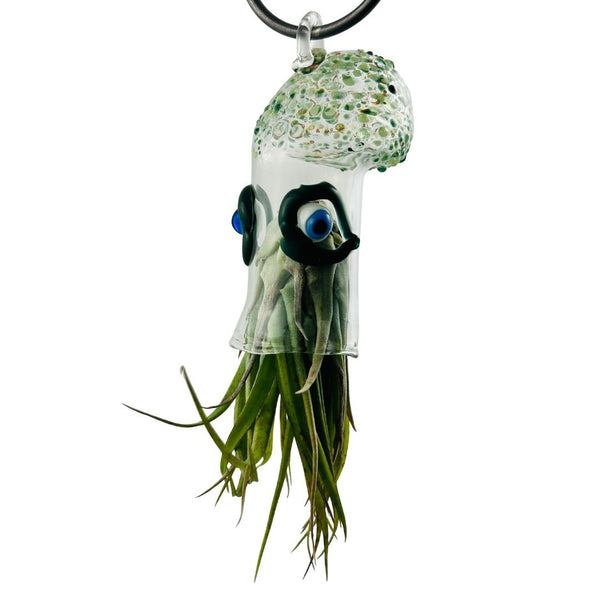 Cephalopod Air Planter - Merv