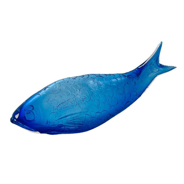 Fish Study in Blue