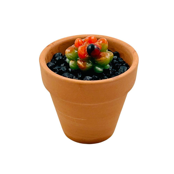 Mini Terra Cotta Glass Succulent - 16