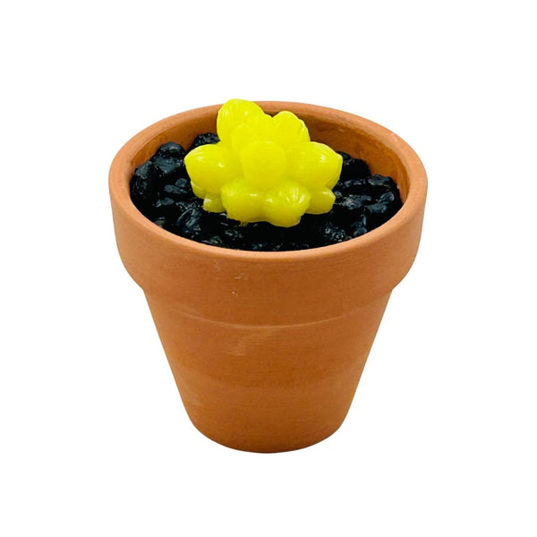 Mini Terra Cotta Glass Succulent - 20