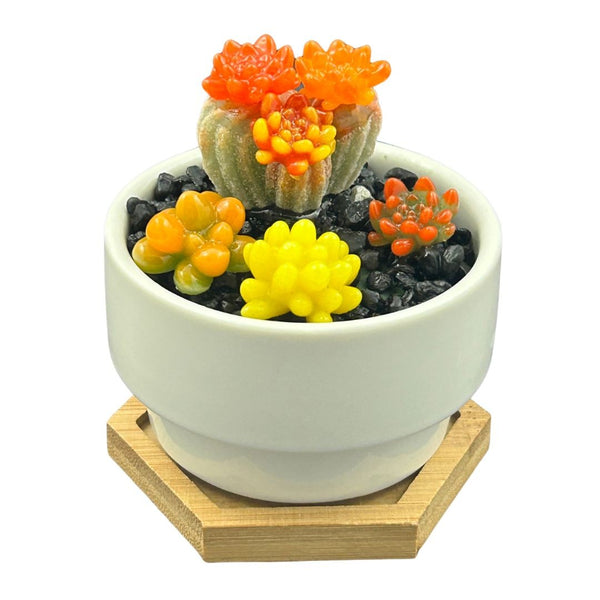 White Ceramic Med. Bowl Succulents - 01