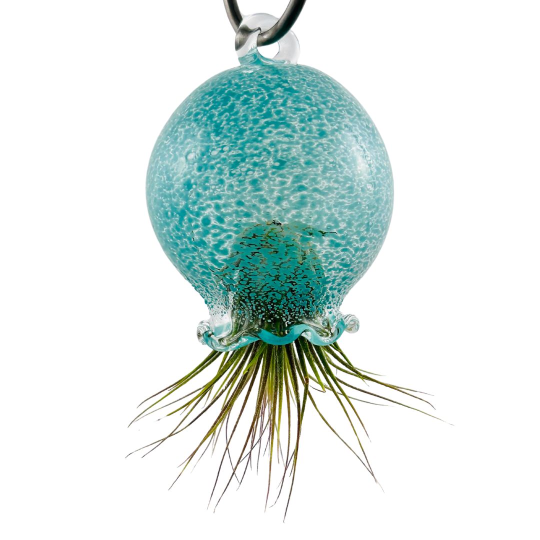 Jellyfish Air Planter - Turquoise Speckle – Museum of Glass