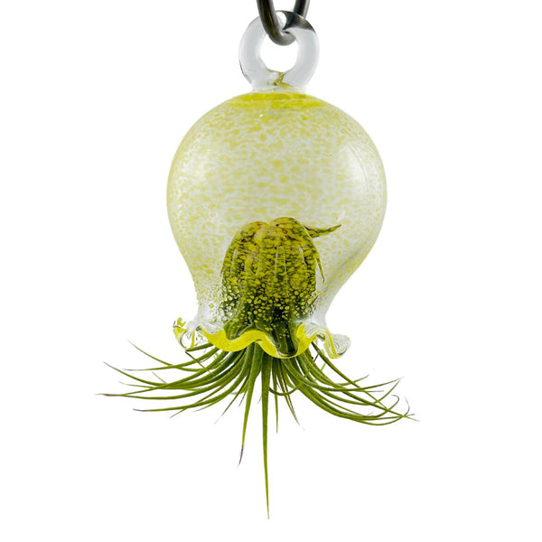 Jellyfish Air Planter - Yellow Speckle