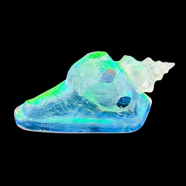 Aqua Aural Conch Shell