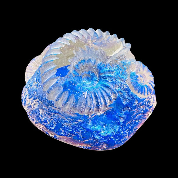 Tanzanite Blue Ammonites