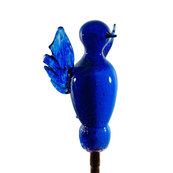 CS Garden Bird - Plumage