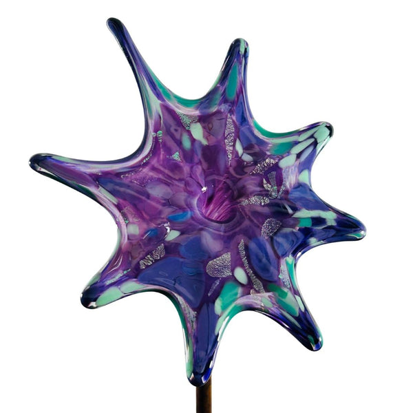 CS Garden Flower - Galaxy Burst