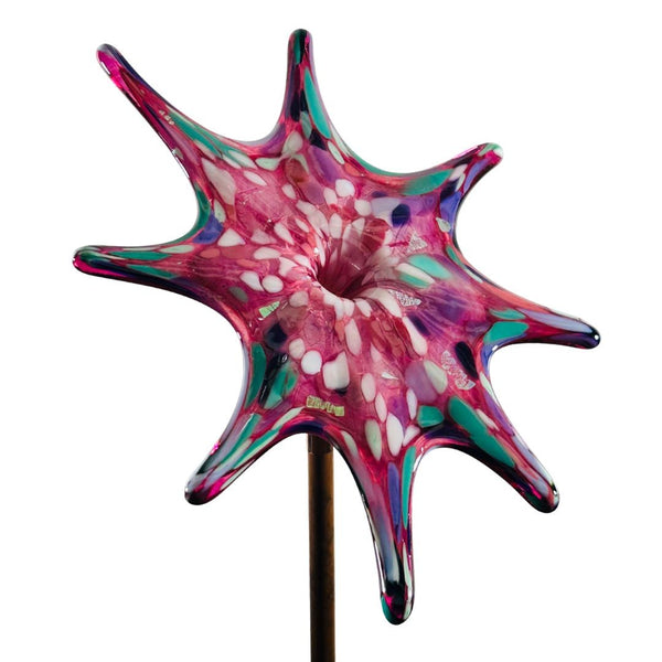 CS Garden Flower - Darrenberry
