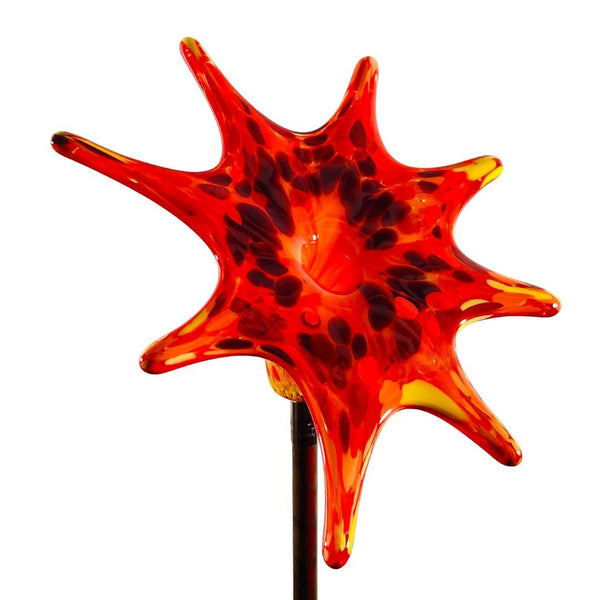 CS Garden Flower - Sunburst