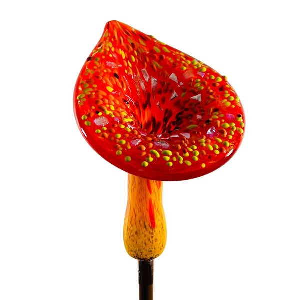 CS Garden Calla Lily - Wildfire