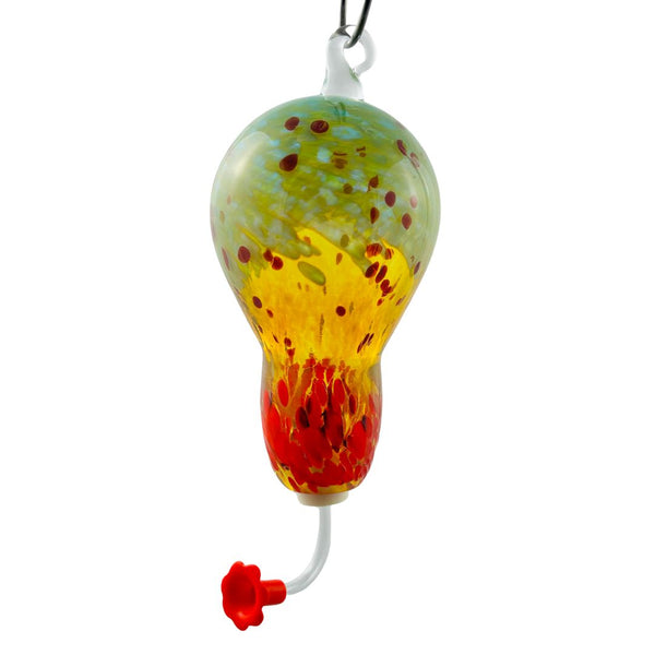 Hummingbird Feeder - Sun Conure