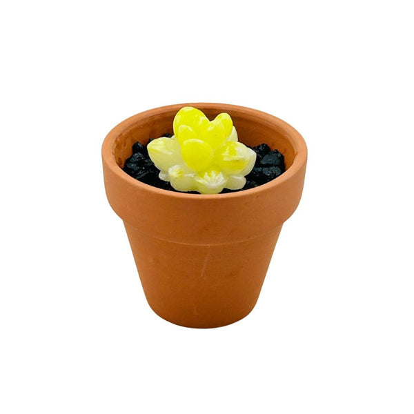Terra Cotta Glass Succulent - 01