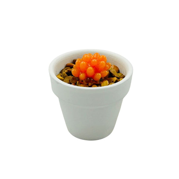 White Ceramic Glass Succulent - 01
