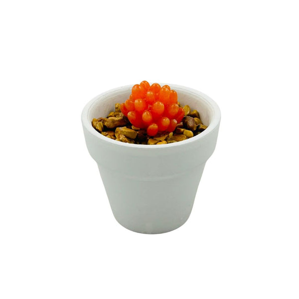 White Ceramic Glass Succulent - 03
