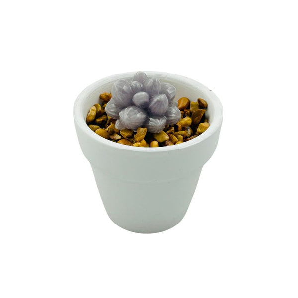 White Ceramic Glass Succulent - 04