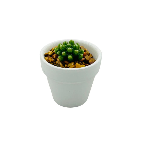 White Ceramic Glass Succulent - 05