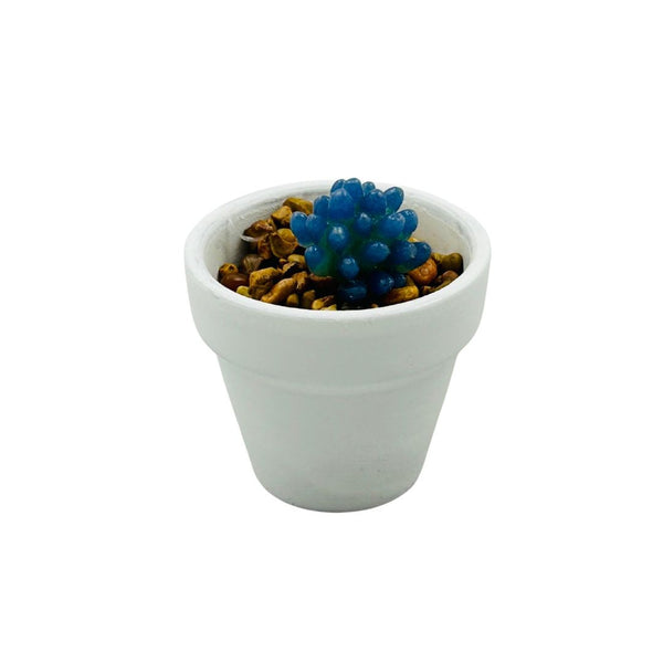 White Ceramic Glass Succulent - 08