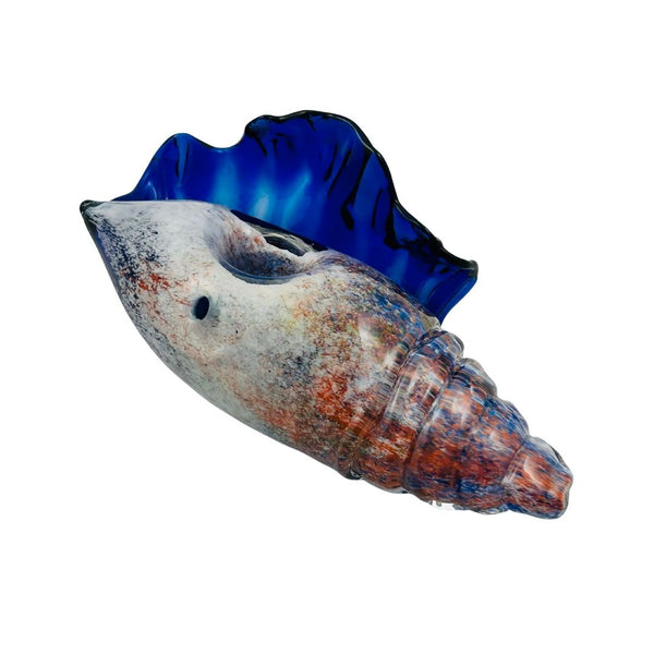 Seashell Pipe