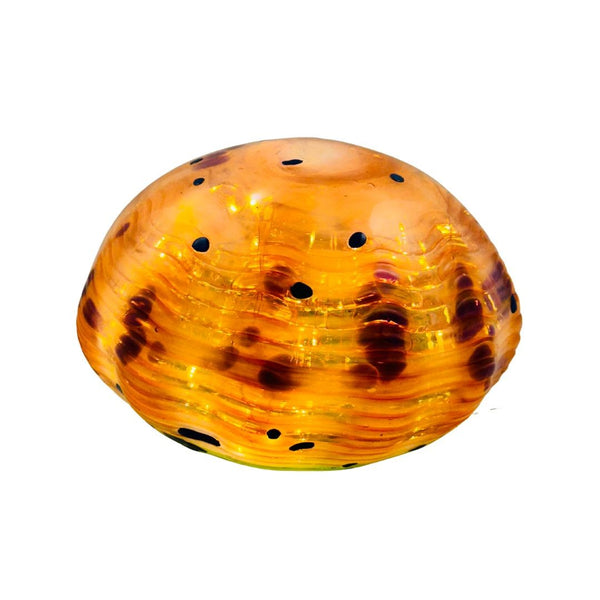Small Seaform Light - Clock the Tea