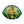 Load image into Gallery viewer, Small Seaform Light - Fat Tuesday
