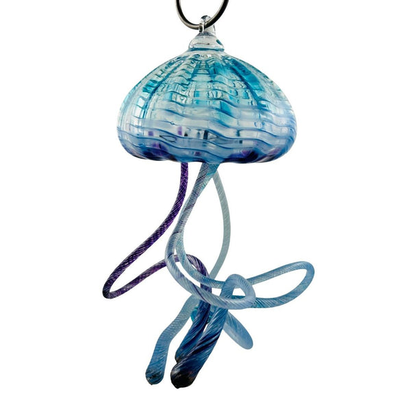 Hanging Jellyfish - Shore Swimmer