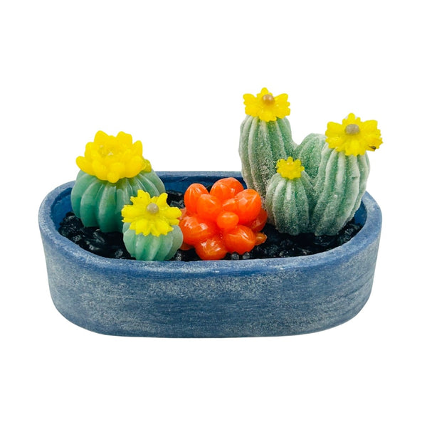 Pâte de Verre Purple Oval Bowl w/ Succulents