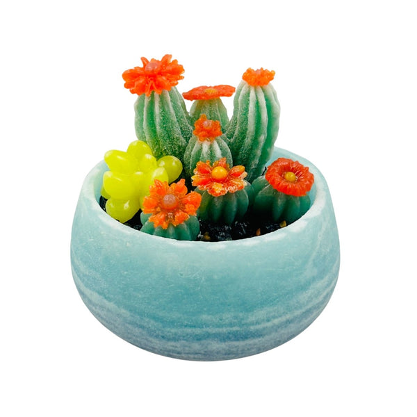 Pâte de Verre Lt. Blue Bowl w/ Succulents