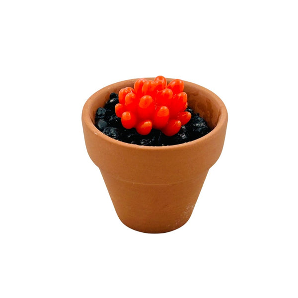 Mini Terra Cotta Glass Succulent - 24