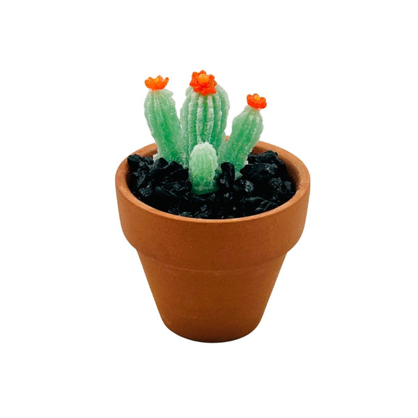 Mini Terra Cotta Glass Succulent - 25