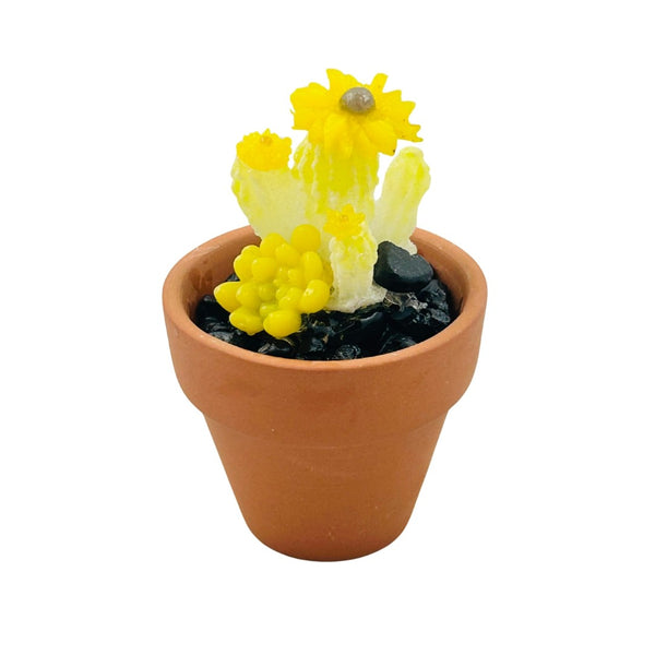 Mini Terra Cotta Glass Succulent - 26