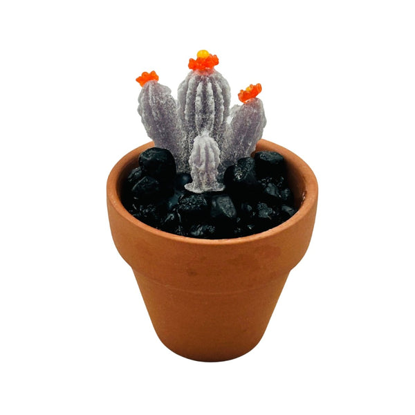 Mini Terra Cotta Glass Succulent - 27