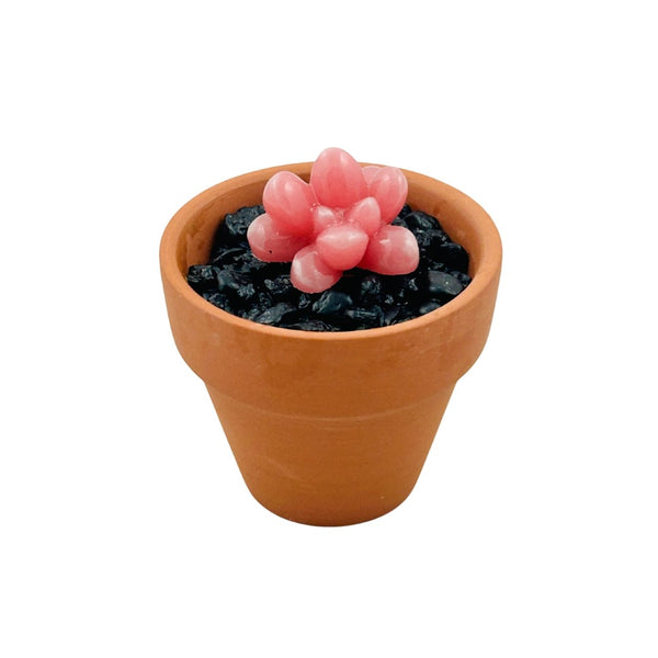 Mini Terra Cotta Glass Succulent - 28