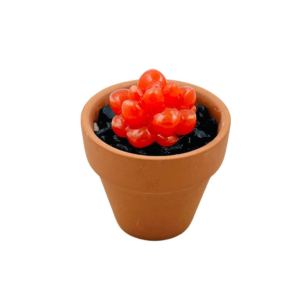 Mini Terra Cotta Glass Succulent - 29