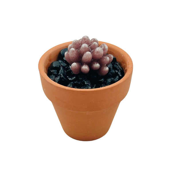 Mini Terra Cotta Glass Succulent - 08