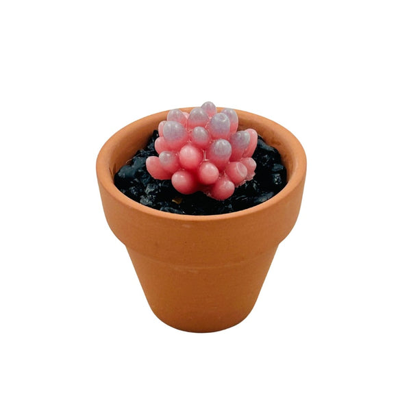 Mini Terra Cotta Glass Succulent - 09