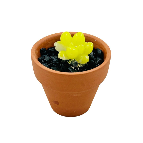 Mini Terra Cotta Glass Succulent - 10