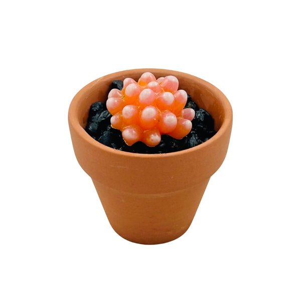 Mini Terra Cotta Glass Succulent - 11