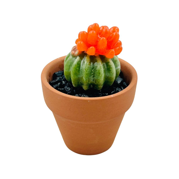 Mini Terra Cotta Glass Succulent - 12
