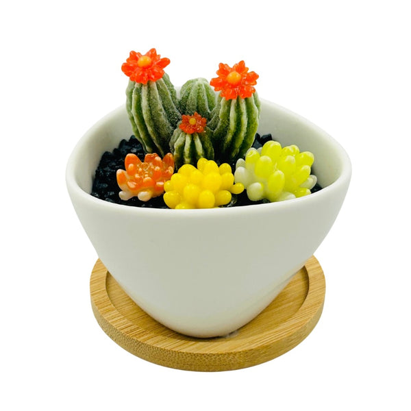 White Triangle Ceramic Pot Succulents w/ Tray - 01