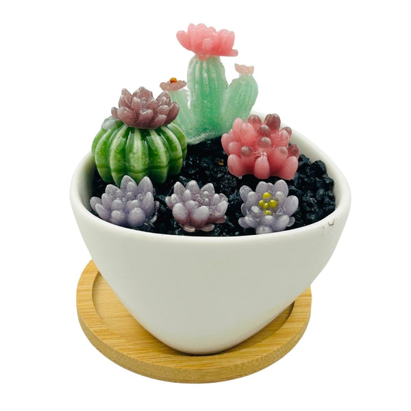 White Triangle Ceramic Pot Succulents w/ Tray - 02