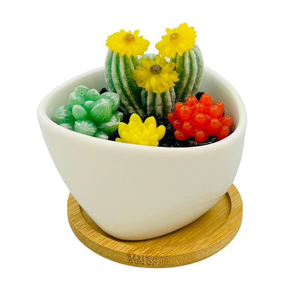 White Triangle Ceramic Pot Succulents w/ Tray - 03
