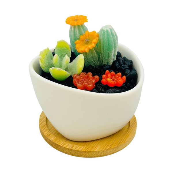 White Triangle Ceramic Pot Succulents w/ Tray - 04