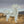 Load image into Gallery viewer, Horse
