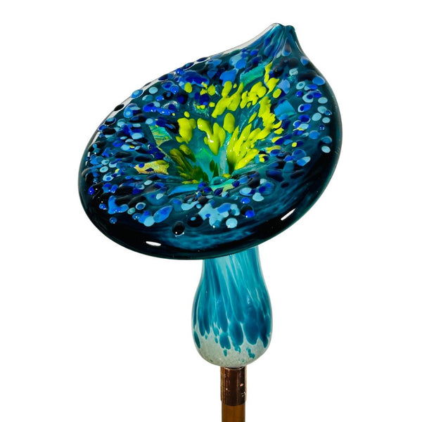 CS Garden Calla Lily - Psychadelic