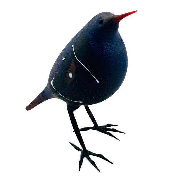 Abstracted Blackbird