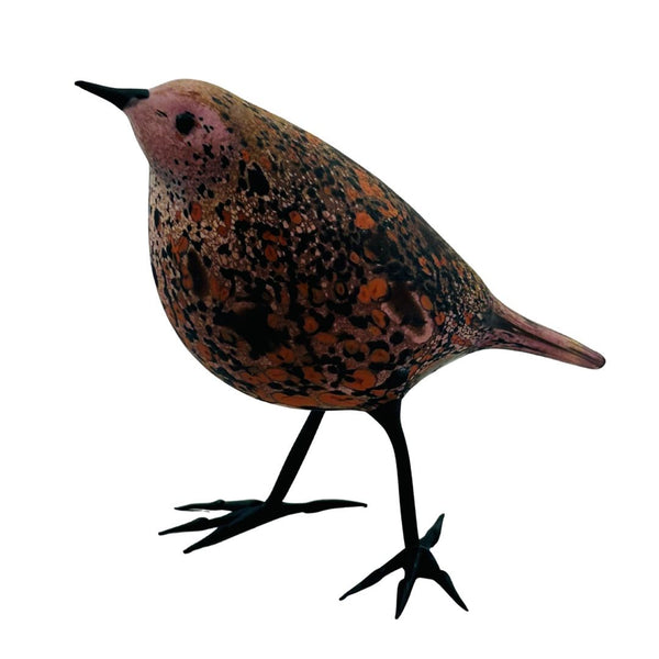 Some Kind of Other Thrush